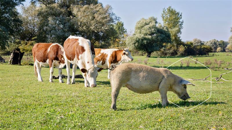 Freshness Every Last Bite