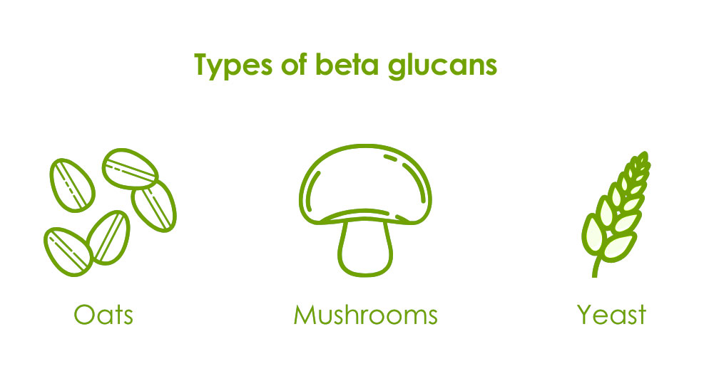 Types of beta glucans