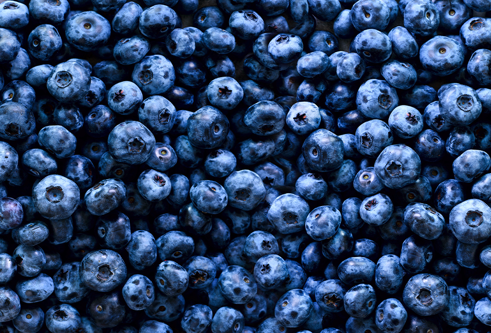 Plant-based Dairy Solution